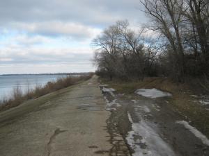 IMG_3032.JPG