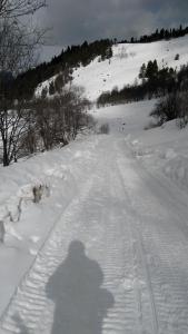 IMG_20170207_115633.jpg