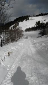 IMG_20170207_115635.jpg