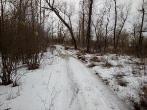 IMG_20170224_1259091.jpg