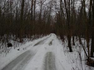 IMG_20170224_1313431.jpg