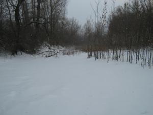 IMG_3966.JPG