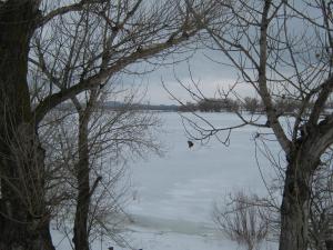 IMG_3942.JPG