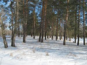 IMG_3904.JPG
