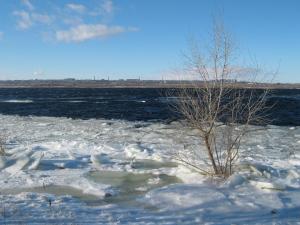 IMG_3914.JPG