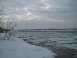 IMG_3981.JPG