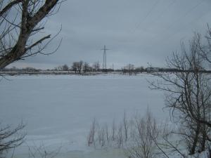 IMG_3941.JPG