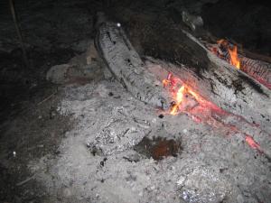 IMG_3928.JPG