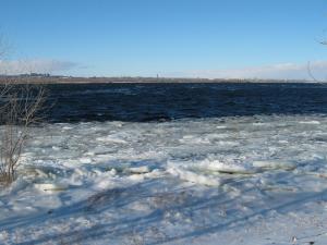 IMG_3913.JPG