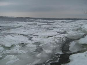 IMG_3978.JPG