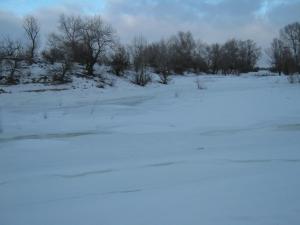 IMG_3943.JPG