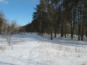 IMG_3903.JPG