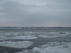 IMG_3980.JPG