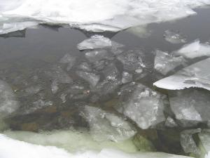 IMG_3977.JPG