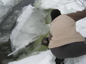 IMG_3982.JPG