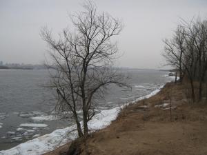 IMG_4010.JPG