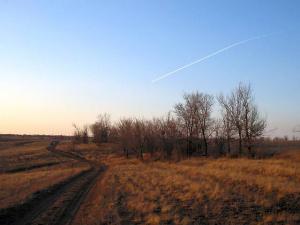 IMG_2424.jpg