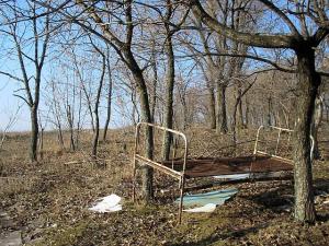 IMG_2331.jpg