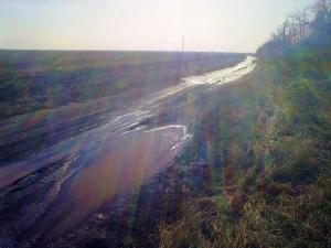 28032010083.jpg