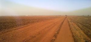 28032010084.jpg