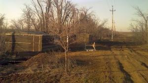 28032010085.jpg