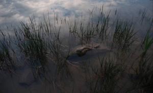 image097.jpg