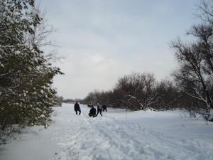 DSC03734.jpg