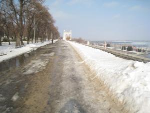 IMG_9604a.jpg
