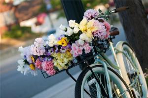 flower-bike-22.jpg