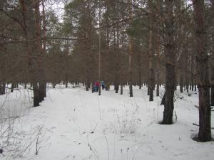 IMG_4954.JPG