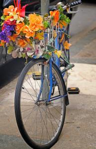 top-flower-bike.jpg
