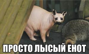 ZvsBQnWt-jc.jpg