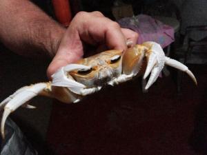 IMG_2014030436977.jpg