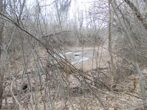 DSCN5801.JPG
