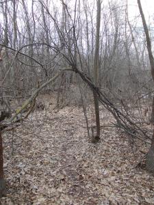 DSCN5802.JPG