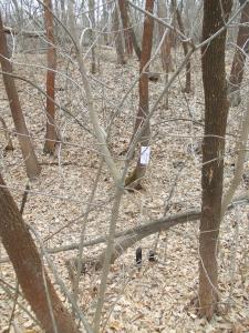 DSCN5787.JPG