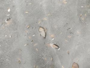DSCN5769.JPG