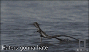 Jesus_lizard_haters.gif