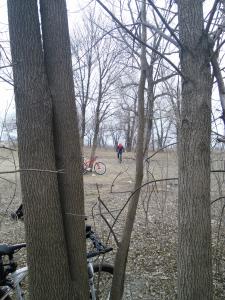 IMG_20150314_121005.jpg