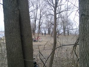 IMG_20150314_121024.jpg