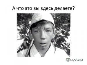 96103601.jpg