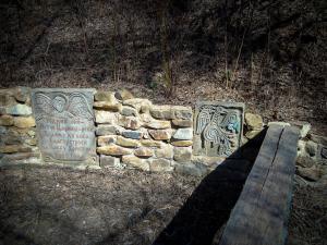 DSCN2139.jpg
