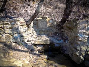 DSCN2149.jpg