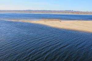 IMG_2431M.jpg