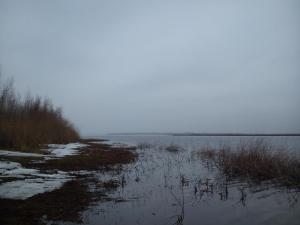 DSC_1492.jpg