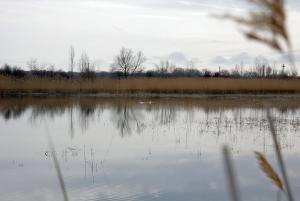 image48.jpg