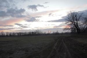 image31.jpg