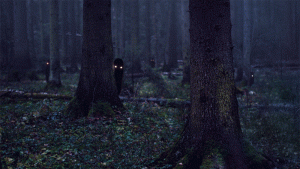 13704180.gif
