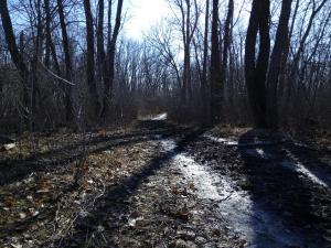 IMG_20170305_1316371.jpg