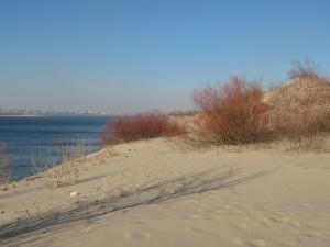 IMG_4092.JPG